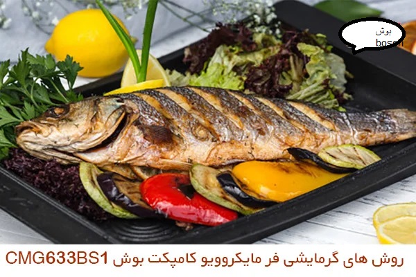 فر مایکروویو کامپکت توکار بوش